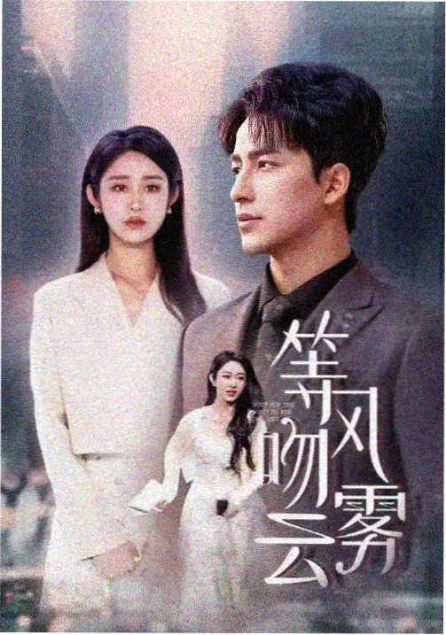 情满四合院第11集